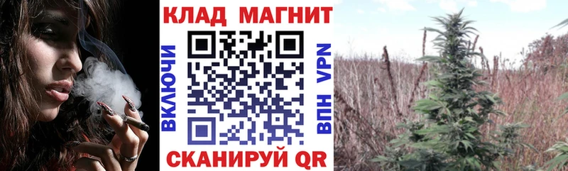 Купить закладку APVP  Кокаин  Меф  NBOMe  Гашиш  Амфетамин  Тайга