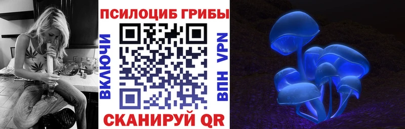 Галлюциногенные грибы Psilocybine cubensis  Купить  Тайга 