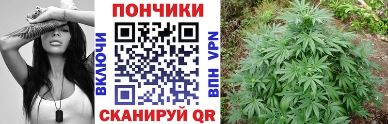 Купить закладки  Тайга  Бошки марихуана Amnesia 